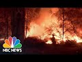 California Wildfires: Sequoias Burn As State Grapples With Multiple Blazes