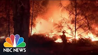 California Wildfires: Sequoias Burn As State Grapples With Multiple Blazes