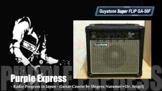 Guyatone FLIP400F/交換用真空管付き 2026年最新】真空管ギターアンプ グヤトーン guyatoneの人気アイテム