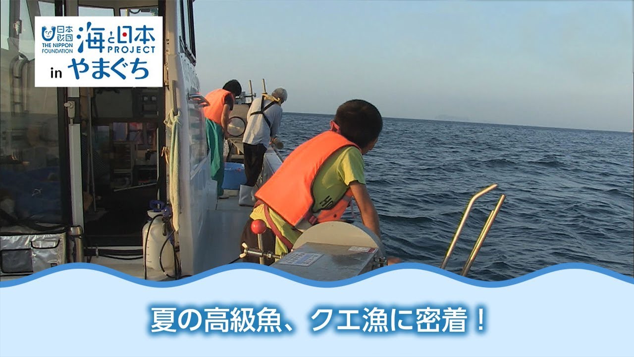 島のクエ漁に密着 日本財団 海と日本project In やまぐち 18 28 Youtube