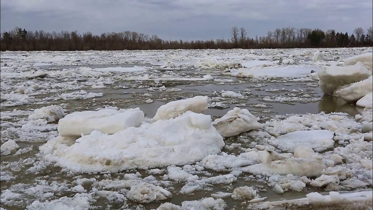 Ледоход на реке для детей. Ледоход в Сургуте 2023. Ледоход на реке Обь. Ледоход et-50. Ледоход для детей.