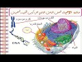 تركيب الخليه  احياء ثالث ثانوي