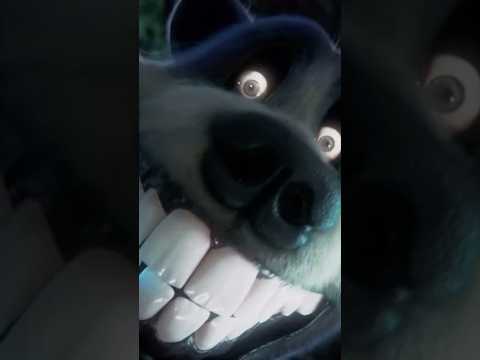 The Bearfriender Haunts Walter #darkpals #mascothorror #lore