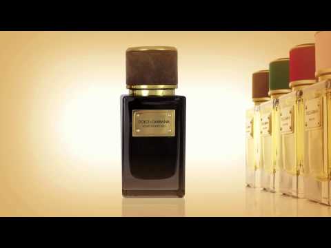 desert oud dolce gabbana