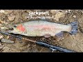 Jackpot!! I Found the Mother Load!! Trout Fishing Bucket List - Bull Creek