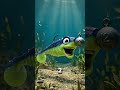 Почему у тебя не клюёт на силикон? 🎣#рыбалка #джиг #силикон #спиннинг #окунь #судак #щука #fishing 🎣