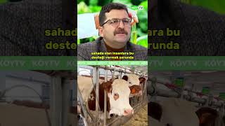 “Mevcut Üretici Tükendi