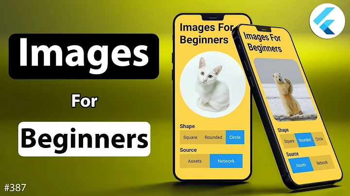 Flutter Tutorial - How To Add Images From Assets/Network URL [2021] Square, Rounded, Circle Images