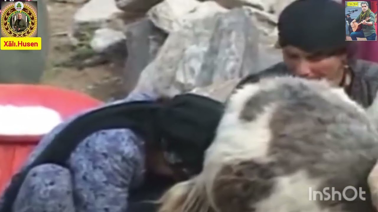 Xalı Husen ve diyar 2026  02   27