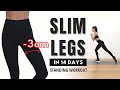 -3cm 허벅지 돌려깎기 운동!! 앞, 뒤, 안벅지 모두 불태우기!!🔥 Slim Legs Workout