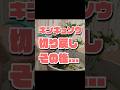 【剪定】キンギョソウ 切り戻しその後1/21切り戻し〜4/15現状#flowers