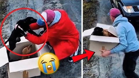 17 Heart-Touching Acts of Kindness You Must See!!!