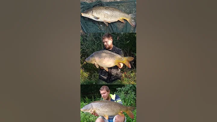 Moravia Carp Baits 2022