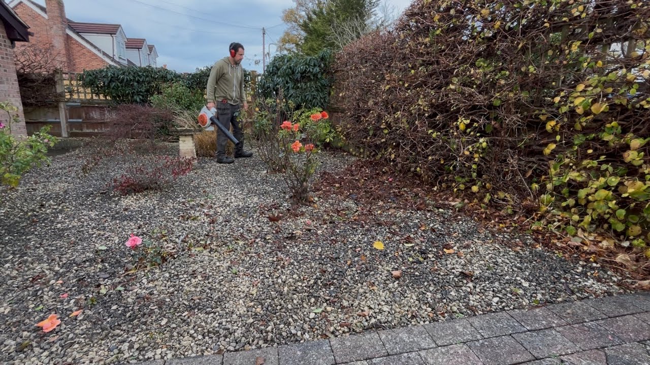 Leaf Clearing & Tidying Front & Rear Garden 