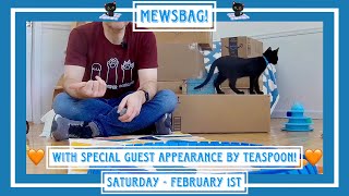 Mewsbag - Saturday February 1St - With Special Guest Appearance By Teas