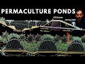 PERMACULTURE PONDS: Why, Where & How