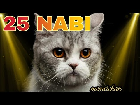 Lagu Anak 25 Nabi versi memeichan|| kucing sholawat