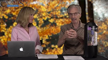 Why You Should Use Baffles To Protect Your Bird Seed From Squirrels