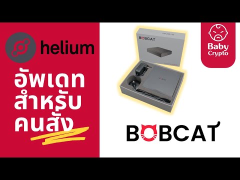 ใครสั่ง-Bobcat-ไปแล้วเข้ามาดูก