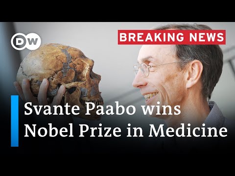 Nobel Prize: Paabo wins award for medicine for discoveries involving human evolution | DW News