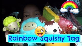 Rainbow Squishy Tag 🌈