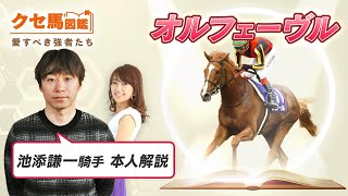 【クセ馬図鑑 vol.1】オルフェーヴル 「戻んのかい！」とツッコんだ!? 阪神大賞典のハプニングなどを池添謙一騎手が解説