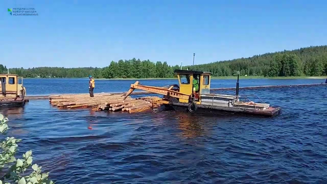 Metsähallitus jatkoi uittamista jälleen seitsemän vuoden tauon jälkeen kesäkuussa 2022