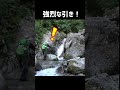 3秒で大物ヒット!釣り上げたのは…? #shorts