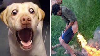 Pets that will make your day full of laughter 🥰