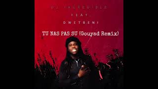 DJ incredible - Tu Nas Pas Su (Gouyad Remix) Feat. Dwetbeni
