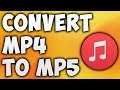 How To Convert MP4 TO MP5 Online - Best MP4 TO MP5 Converter [BEGINNER'S TUTORIAL]