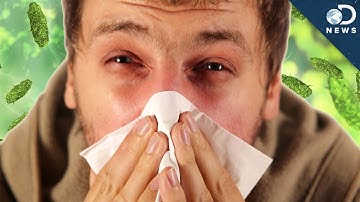 Cold vs. Flu: What