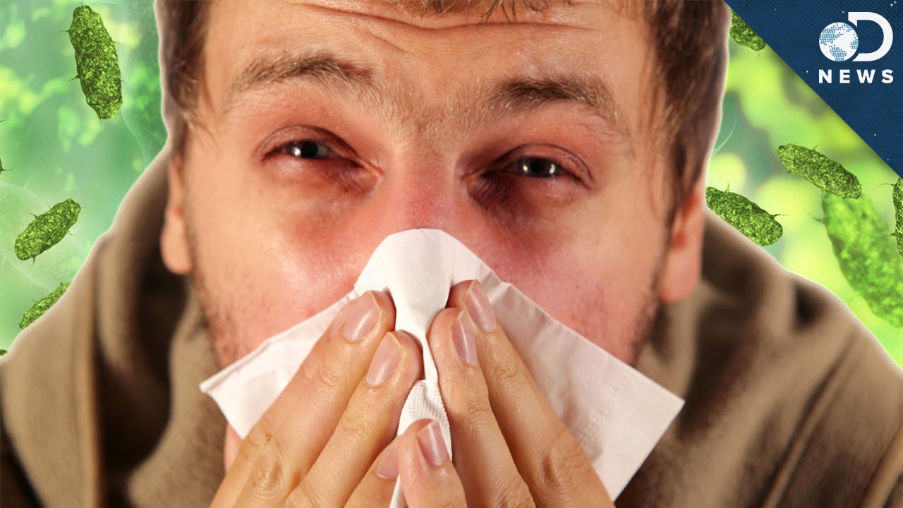 Here's how to tell the difference between the flu and the common cold