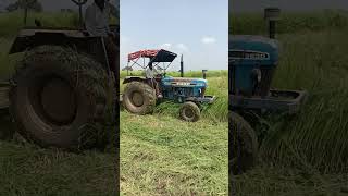 खेत में चारा (फन्टी)काटने वाली मशीन | fodder cutting machine|किसान अपने खेत का चारा कैसे साफ करता है