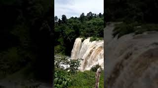 Soor Iluu Abba Boora, West Oromia
