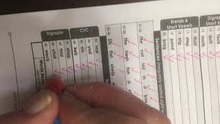 Beginning and advanced decoding survey model