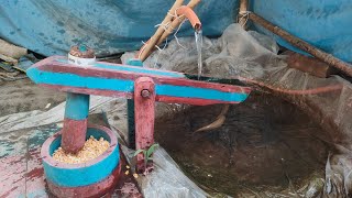 water powered pounder corn mill live