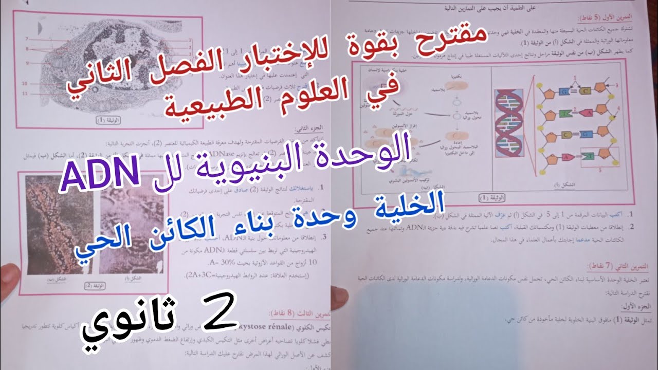 مقترح بقوة للإختبار الفصل الثاني في العلوم الطبيعية (حول ال ADN + الوحدة البنيوية للخلية) /2 ثانوي