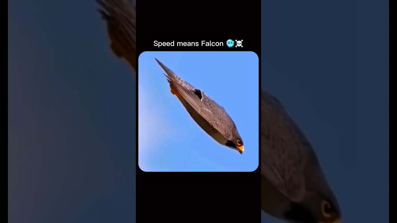 Iske aage Cheetah bhi Fail hai 🥶☠️