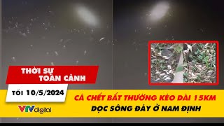 Thời sự toàn cảnh tối 10\/5: Cá chết bất thường kéo dài 15km dọc sông Đáy ở Nam Định | VTV24