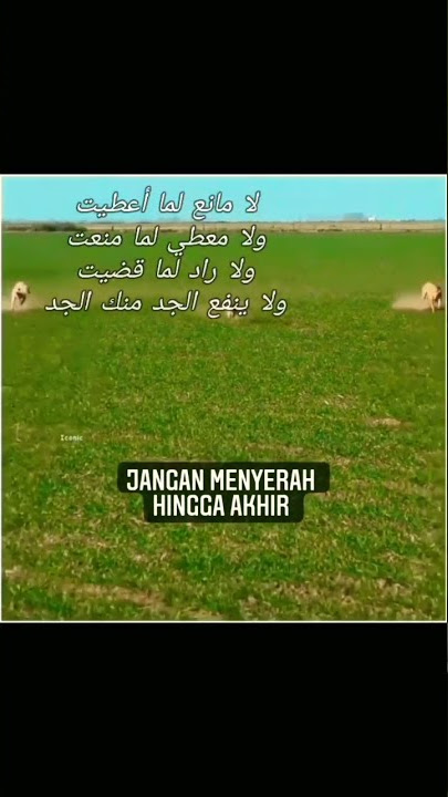 sebesar apa pun usahamu, jika Allah tidak berkehendak maka apa pun tidak akan terjadi. #shorts #fyp