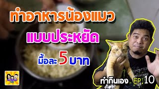 ทำกินเองep 10 : ทำอาหารน้องแมว แบบประหยัด มื้อละ 5 บาท ง่ายๆ