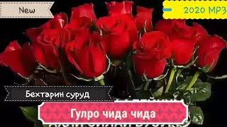 Гулро💑 чида чида мерави ту  Бехтарин сурад дар ютуб бори аввал