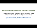 Scale Command Tutorial Quiz