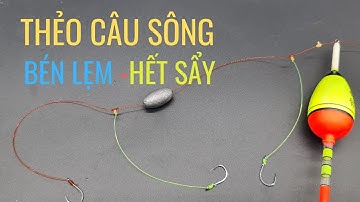 kỹ thuật câu sông | Buộc thẻo câu cá chì chạy săn hàng | Lượm cá giật mỏi tay