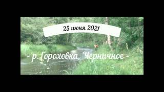 25 июня 2021, купание в реке Гороховка