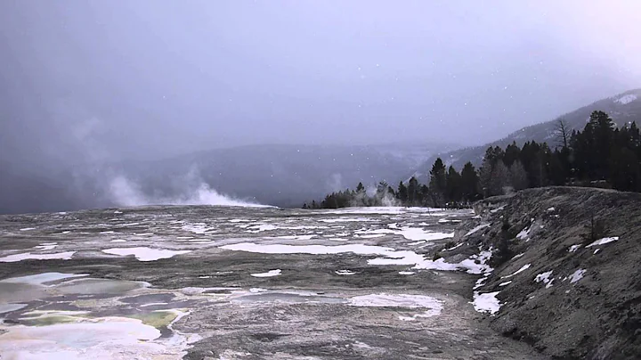 Snow falling in Yellowstone