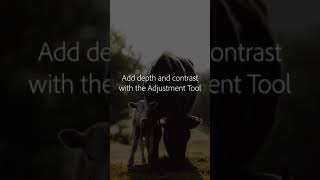 Enhancing image tones – Mobile Tutorial @withluke | Adobe UK screenshot 3