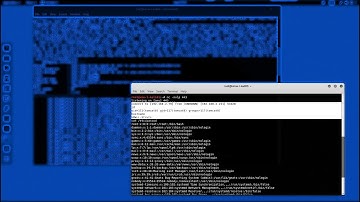 Exploiting Apache Struts - CVE-2017-9805