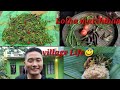 Lets make lotha matchihan  village lifealex lotha vlogs